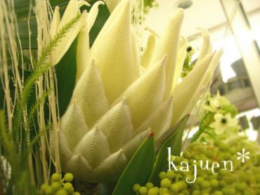 白い白いプロテアの花｜「ｋａｊｕｅｎ＊花樹園」　（大阪府東大阪市の花キューピット加盟店 花屋）のブログ